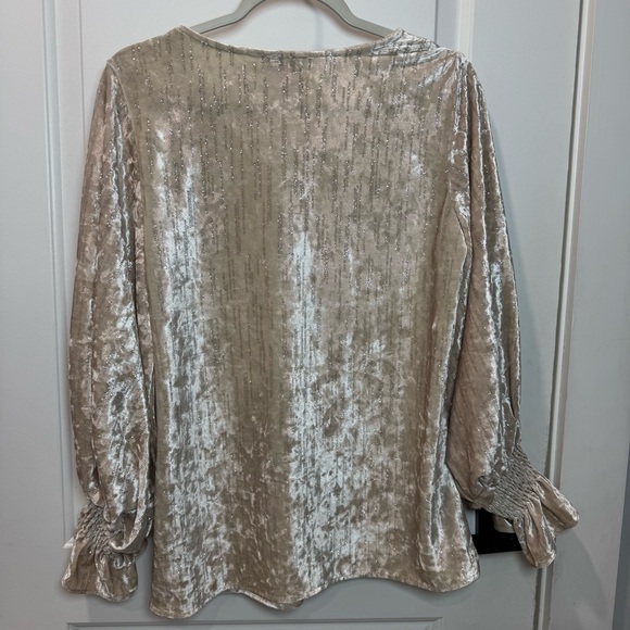 Vince Camuto Womens Beige Blouson Sleeve Velvet Top size M - Picture 5 of 10